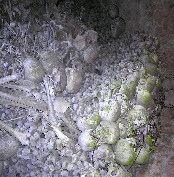 2011-06-16 11 Tregornan - On commencait a se sentir seuls.JPG